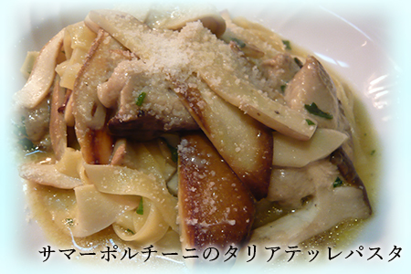 サマーポルチーニ